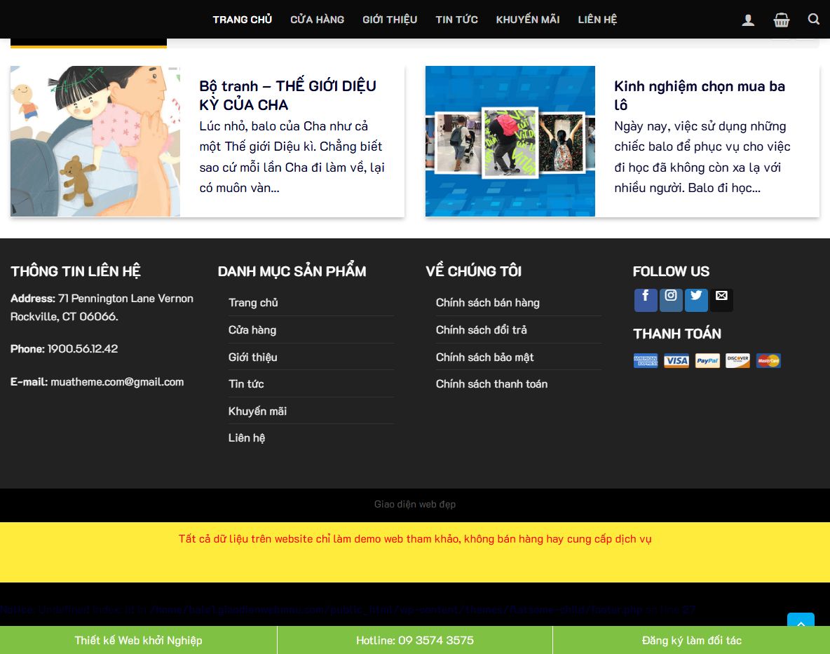 Tính năng marketing của Theme WordPress bán balo 01