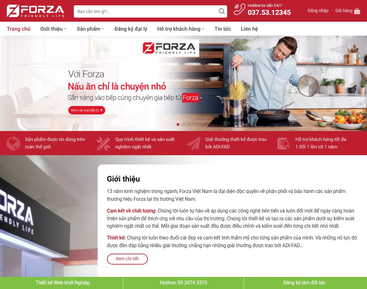 Giao diện Theme wordpress bán bếp từ 03