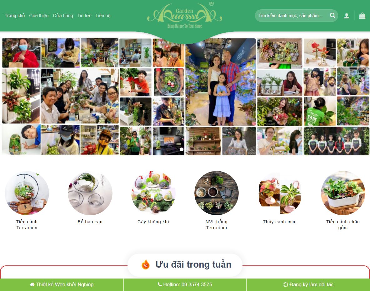 Giao diện theme wordpress bán cây xanh terrarium
