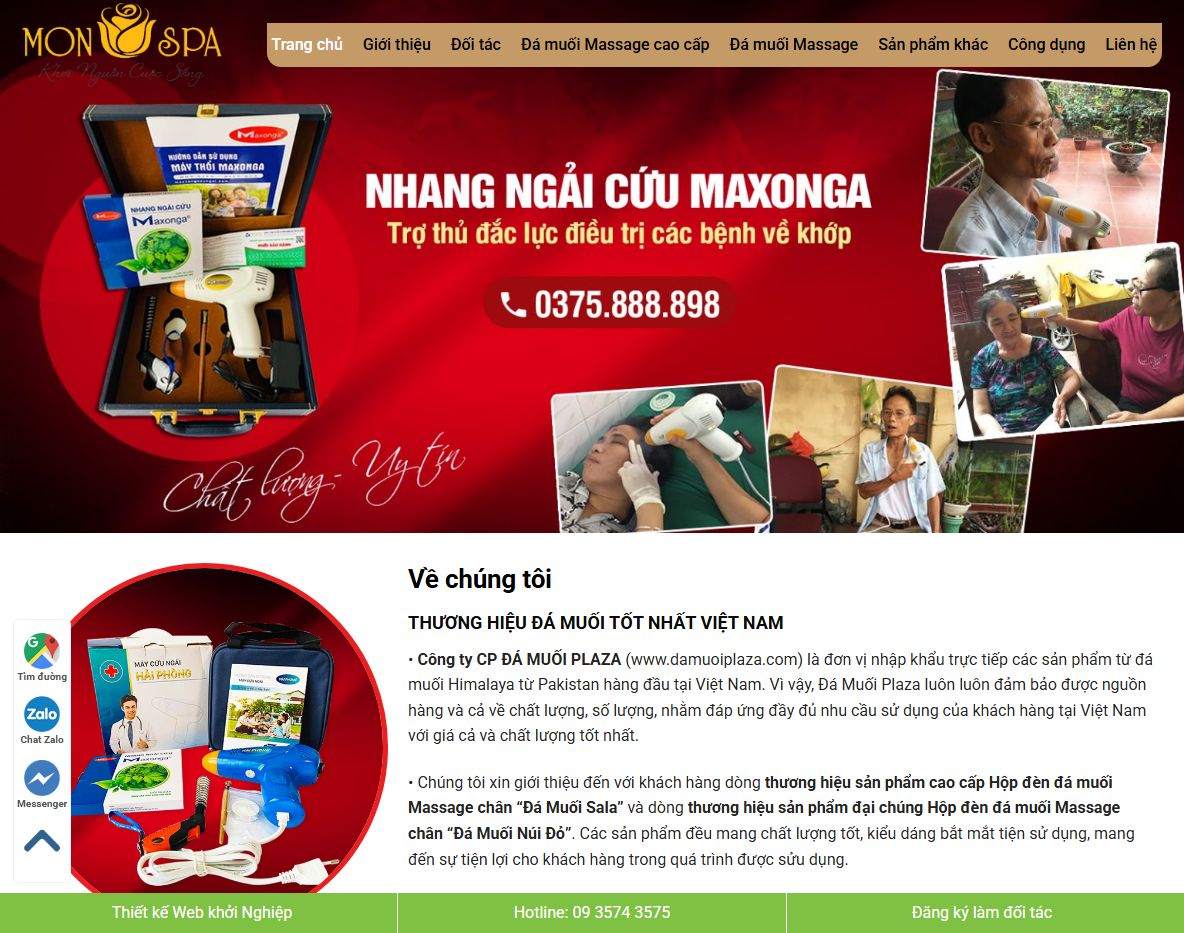 Giao diện theme wordpress bán đá muối